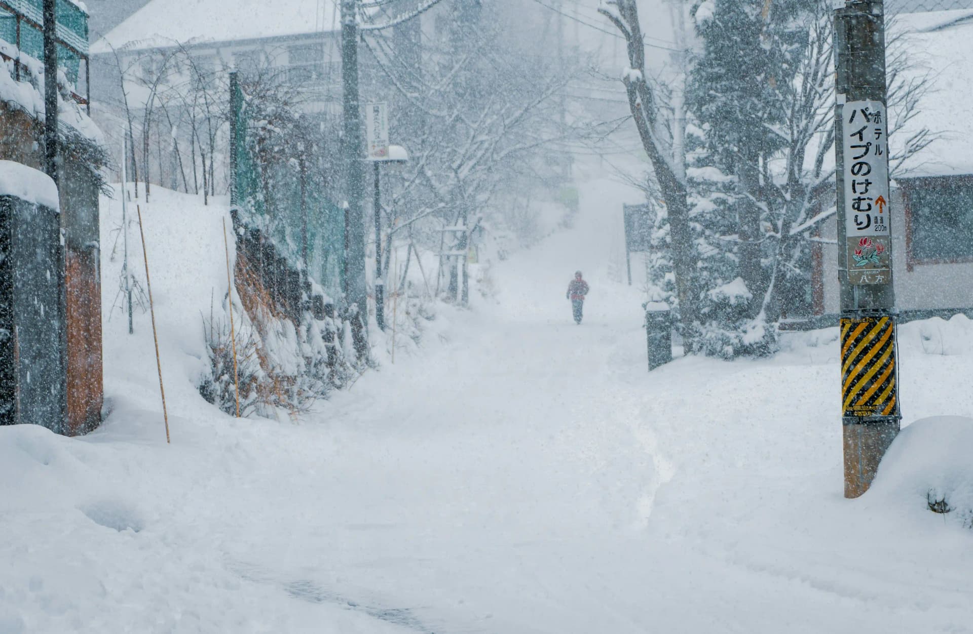 Tsugaike Kogen Ski Resort, Hakuba