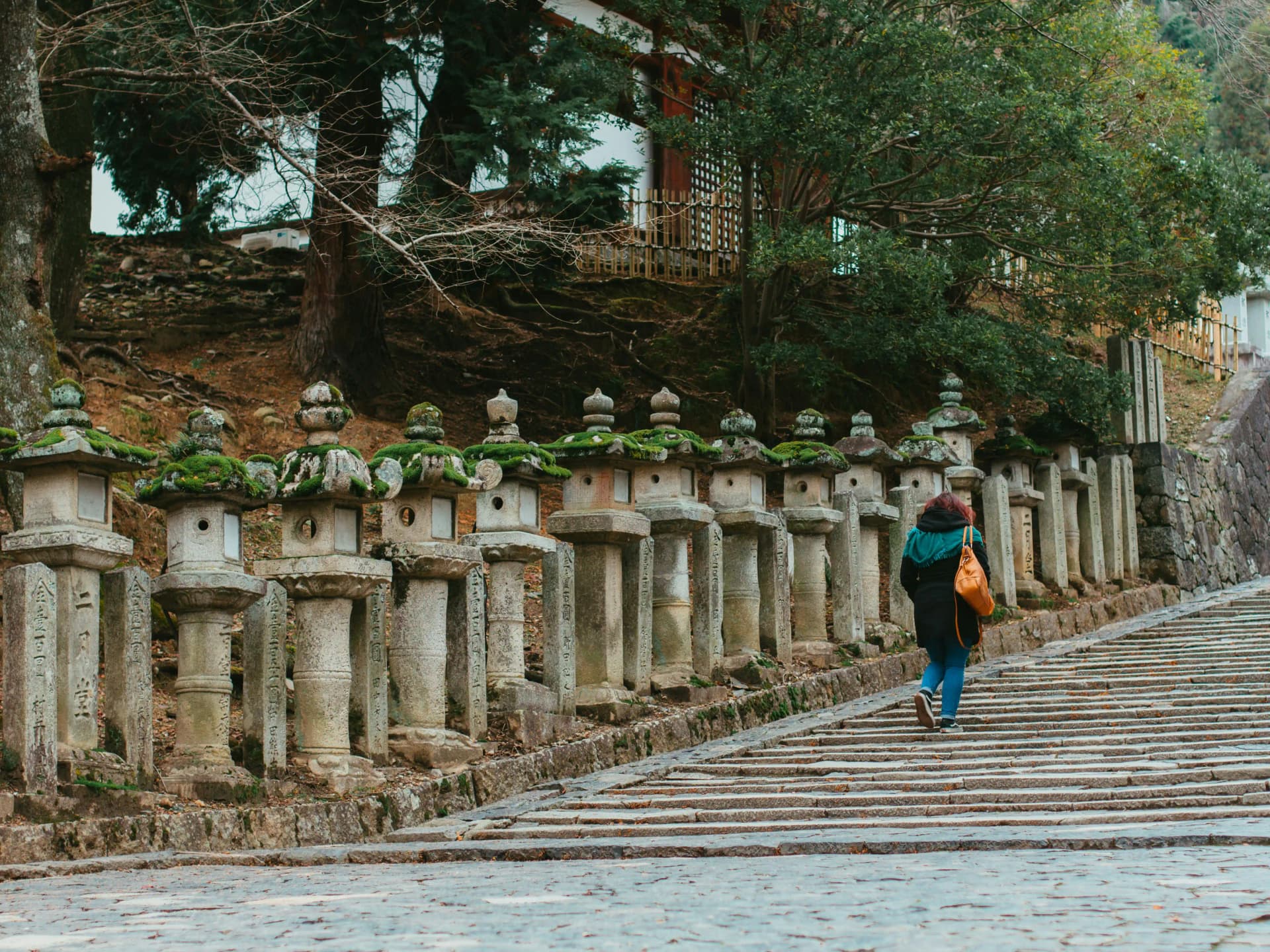Kasuga Taisha Shrine, Nara