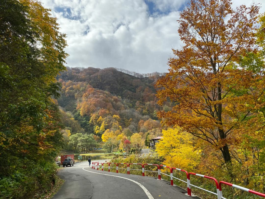 street between trees under cloudy sky, Autumn leaves in Joshin’etsu Kogen National Park, Niigata, Japan