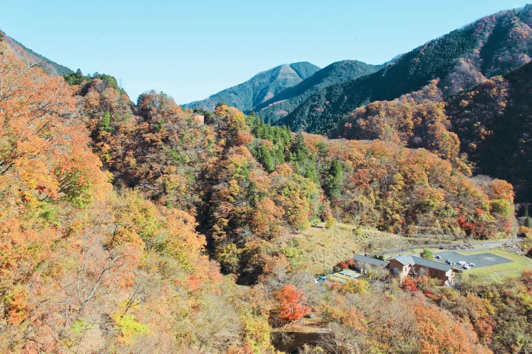 autumn foliage in Mount Mitake, Okutama, Tokyo, Japan