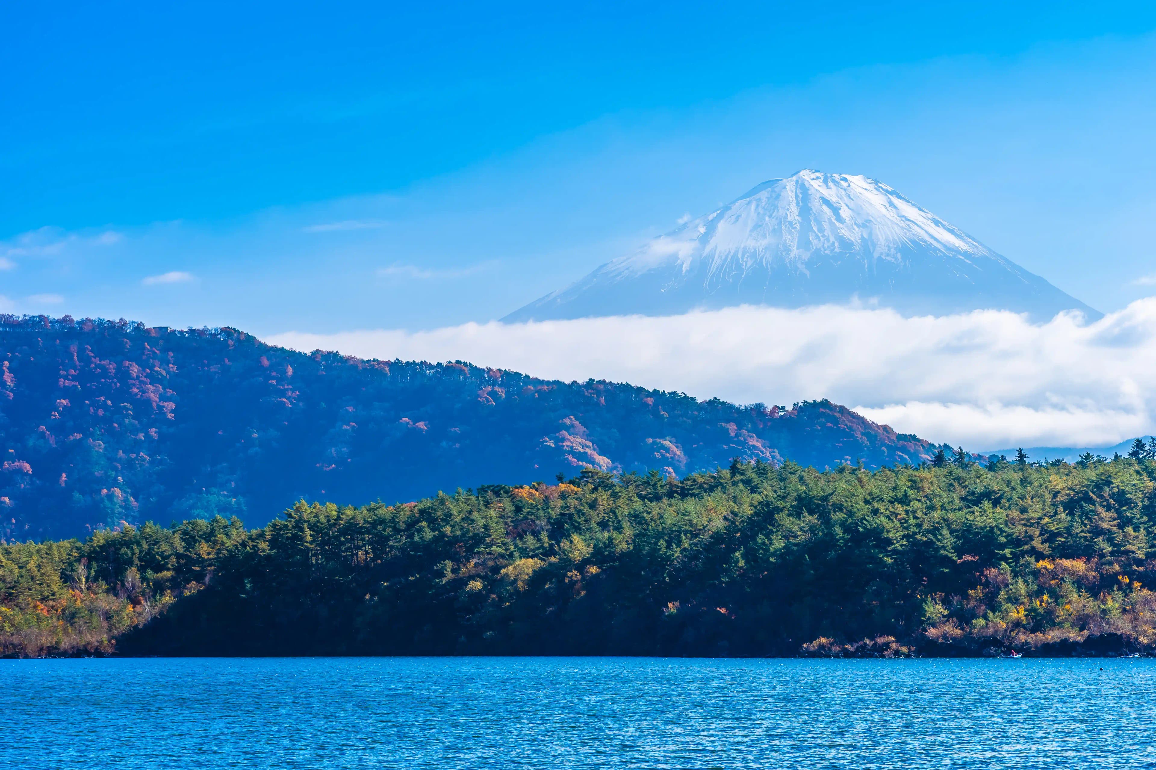 beautiful landscape of mountain Fuji with maple leaves