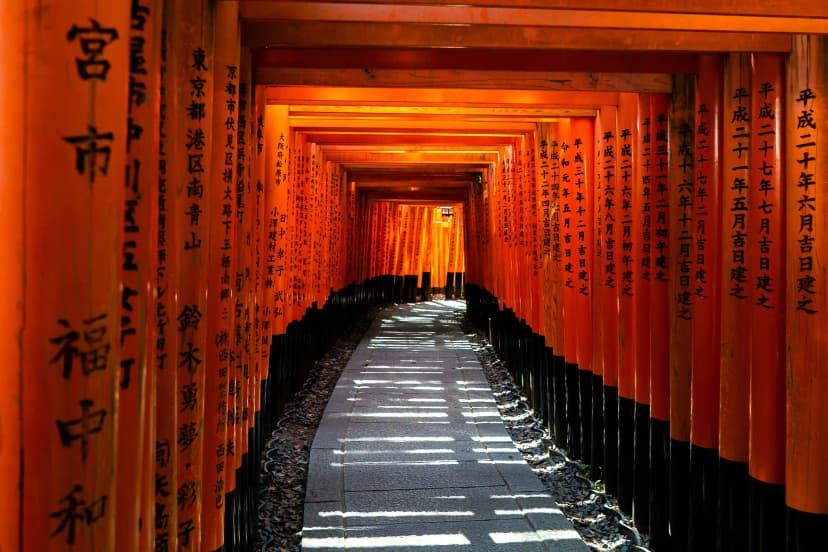 Tori Gates at Fusihimi Inari, Kyoto, Japan